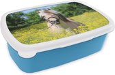 Broodtrommel Blauw - Lunchbox - Brooddoos - Paard - Bloemen - Geel - 18x12x6 cm - Kinderen - Jongen
