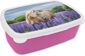 Broodtrommel Roze - Lunchbox Paard - Bloemen - Paars - Brooddoos 18x12x6 cm - Brood lunch box - Broodtrommels voor kinderen en volwassenen