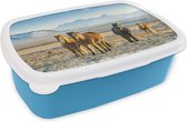 Broodtrommel Blauw - Lunchbox - Brooddoos - IJslander paarden in een winters berglandschap - 18x12x6 cm - Kinderen - Jongen