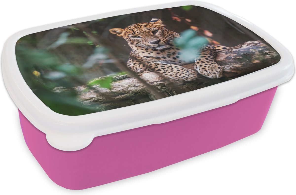 Broodtrommel Roze - Lunchbox - Brooddoos - Panter - Jungle - Dieren - 18x12x6 cm - Kinderen - Meisje