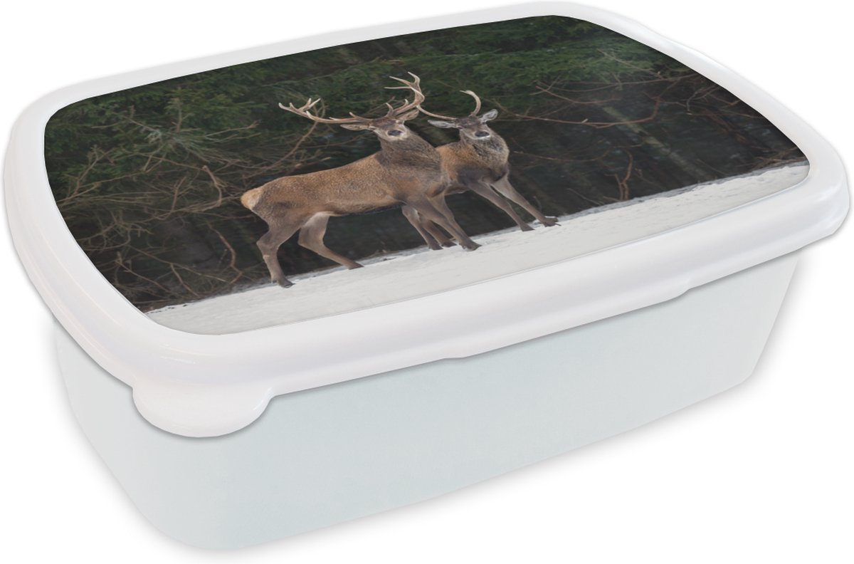 Broodtrommel Wit - Lunchbox - Brooddoos - Hert - Sneeuw - Bos - 18x12x6 cm - Volwassenen