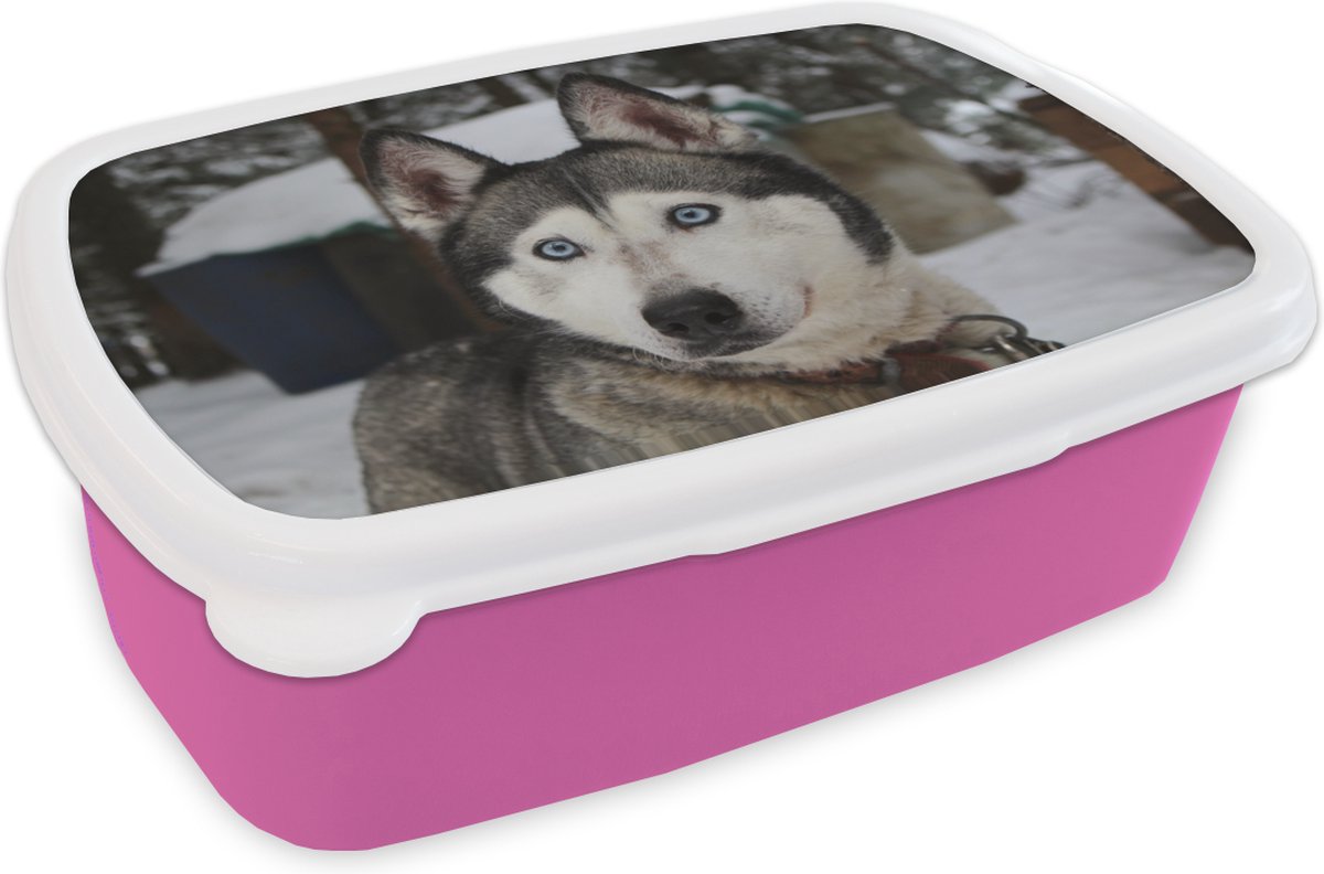 Broodtrommel Roze - Lunchbox - Brooddoos - Husky - Sneeuw - Kop - 18x12x6 cm - Kinderen - Meisje