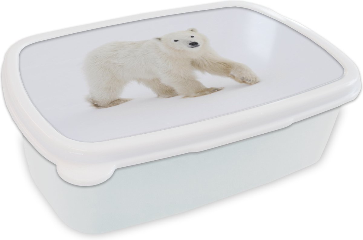 Broodtrommel Wit - Lunchbox - Brooddoos - IJsbeer - Sneeuw - Wit - 18x12x6 cm - Volwassenen