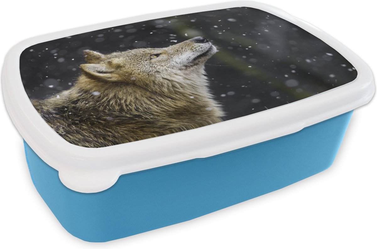 Broodtrommel Blauw - Lunchbox - Brooddoos - Wolf - Sneeuw - Bruin - 18x12x6 cm - Kinderen - Jongen