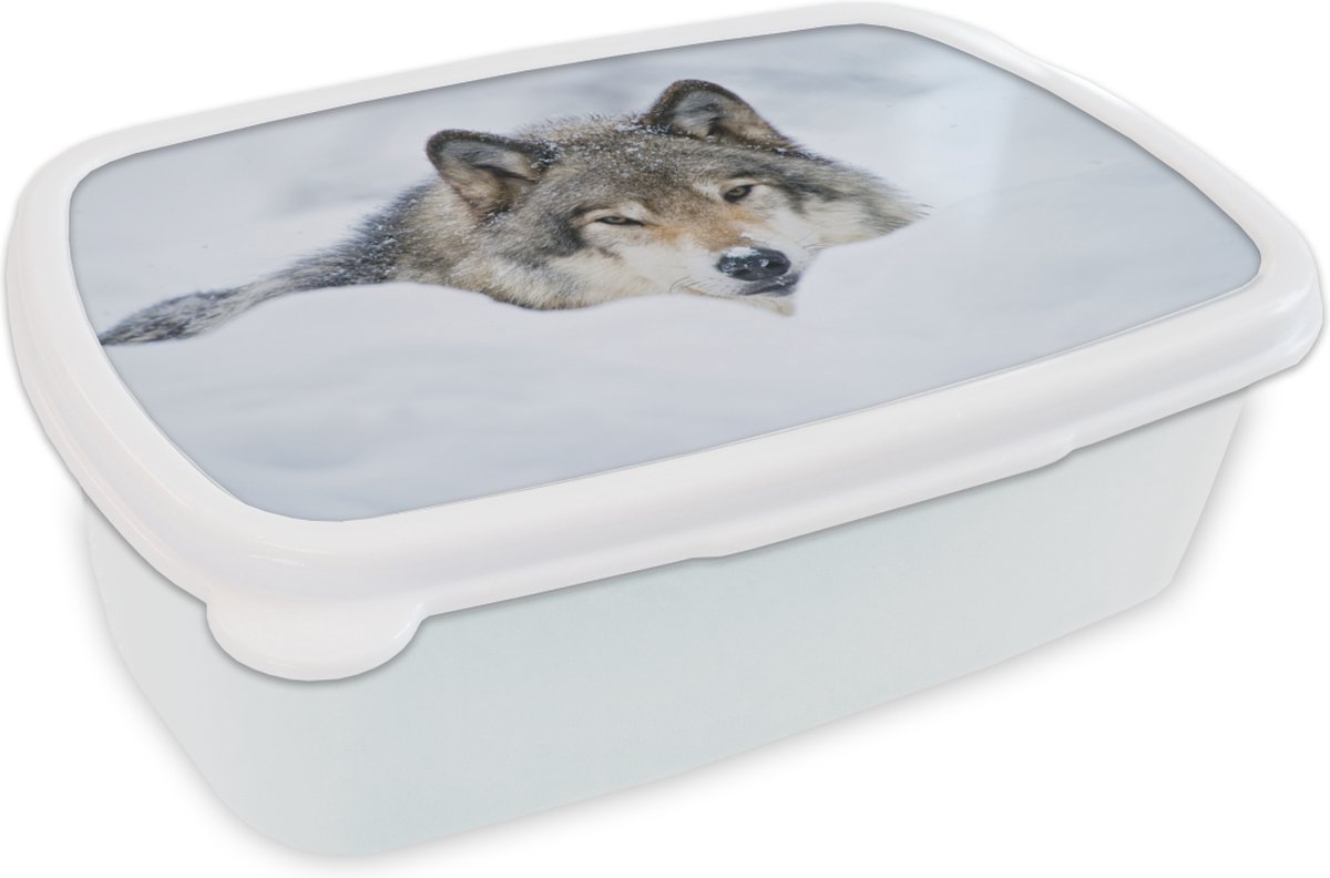 Broodtrommel Wit - Lunchbox - Brooddoos - Wolf - Sneeuw - Vacht - 18x12x6 cm - Volwassenen