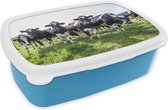 Lunch box Blauw - Lunch box - Boîte à pain - Vaches - Léger - Printemps - 18x12x6 cm - Enfants - Garçon