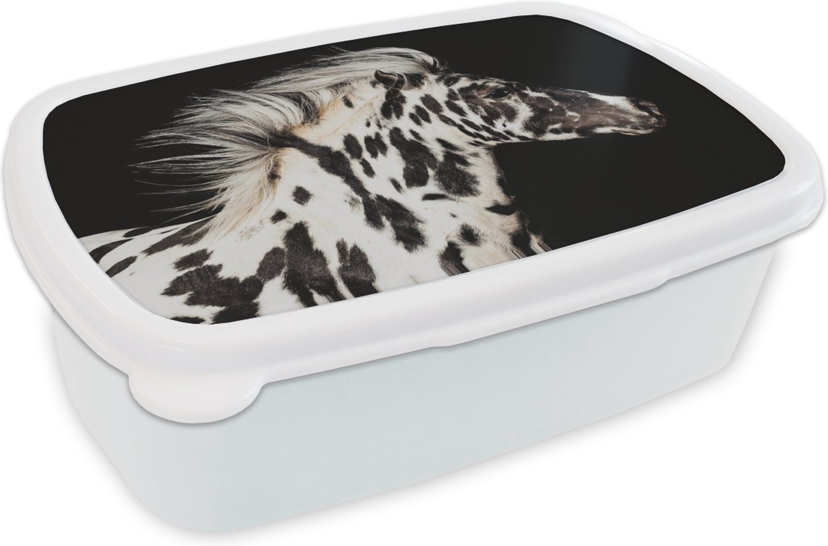Broodtrommel Wit - Lunchbox - Brooddoos - Paard - Stippen - Wit - 18x12x6 cm - Volwassenen