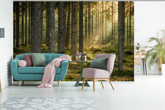 Papier peint - Papier peint photo Forêt - Arbre - Soleil - Largeur 420 cm x hauteur 280 cm