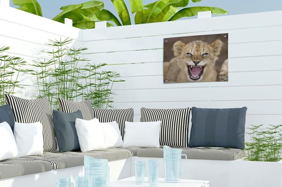 Décoration de Jardin Sauvage - Lion - Jeune - 40x30 cm - Toile de jardin
