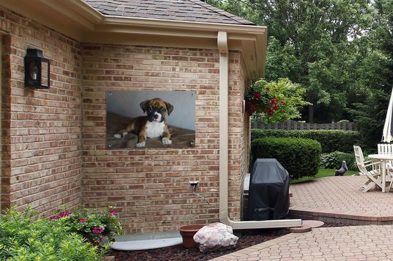 Affiche de jardin chiot Boxer couché sur un kussen 90x60 cm - Toile de jardin / Toile d'extérieur / Peintures pour l'extérieur (décoration de jardin)