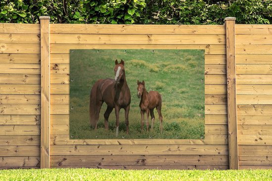 Décoration murale murale Paarden - Herbe - Marron - 180x120 cm - Affiche de jardin - Toile de jardin - Poster extérieur