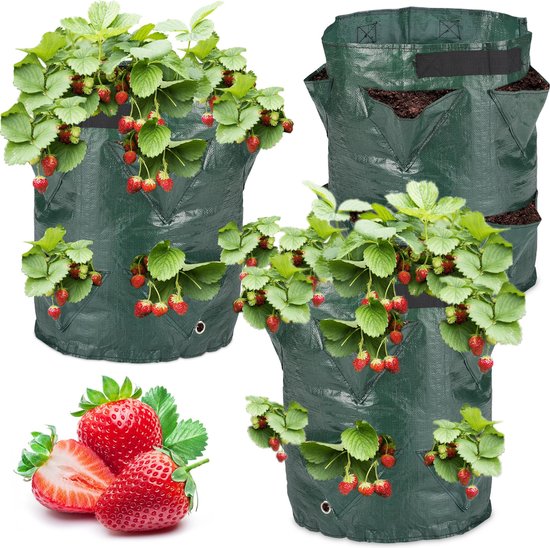Steun voor aardbeien set van 10 bestel
