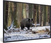 Cadre photo avec affiche - Sanglier - Neige - Animal - 30x20 cm - Cadre pour affiche