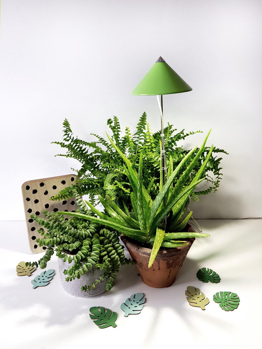 Parus by Venso Grow Light Duo mit Stativ LED Pflanzenlampe Vollspektrum 20W Anzuchtlampe LED Pflanzenleuchte für Gemüse, Kräuter und Blühpflanzen, Venso Ecosolutions, Wachstumslampe für Pflanzen