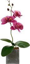 Ibergarden Kunstplant Orchidee 17 X 8 X 27 Cm Lila/grijs