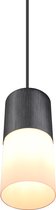 LED Hanglamp - Trion Roba - E27 Fitting - 1-lichts - Rond - Mat Zwart - Aluminium