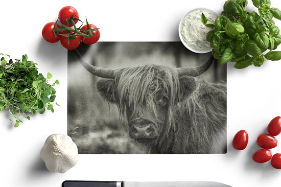 Planche à découper en Verres - 28x20 - Scottish Highlander - Vaches - Zwart - Wit - Planches à découper en Glas