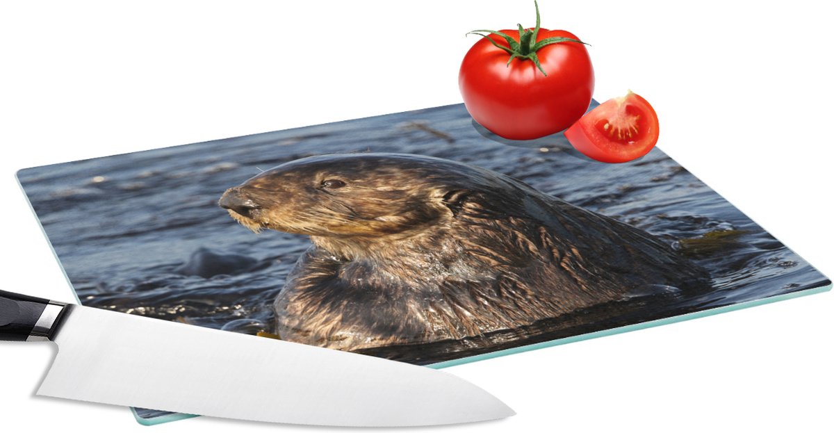 Glazen Snijplank - 28x20 - Dieren - Otter - Water - Snijplanken Glas