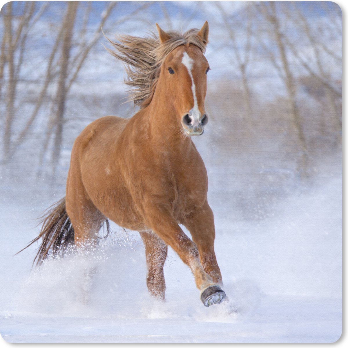 Muismat 20x20 cm - Mousepad Paard - Sneeuw - Bruin - Muismatten