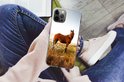 PDP.ProductImage.Thumb.Image.srtText 7