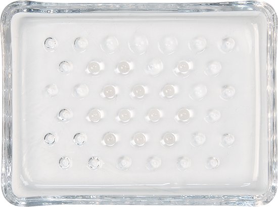 Intensief diameter broeden Clayre & Eef Zeepbakje 13x10x2 cm Glas Rechthoek Zeephouder Zeepschaaltje  Zeeprekje | bol.com