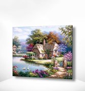 Painting Expert® Schilderen op nummer Volwassenen - Schilderen op nummer Kinderen - Huis in Bos met Zwanen - 40x50cm - Exclusief Lijst (24 kleurtjes)