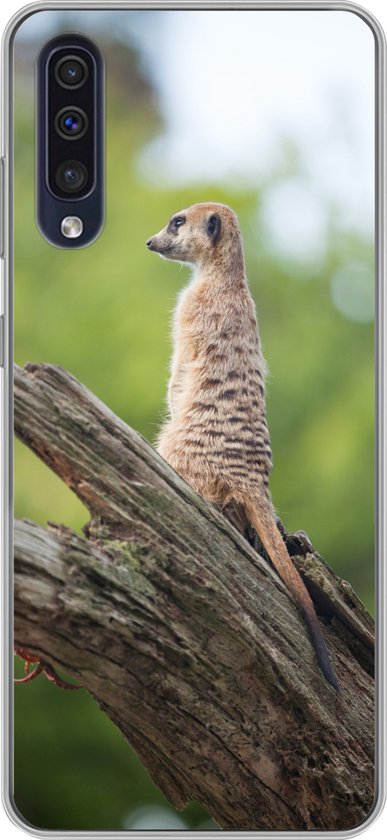 Geschikt voor Samsung Galaxy A50 hoesje - Stokstaartje - Tak - Boom - Siliconen Telefoonhoesje