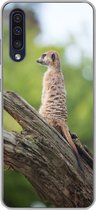 Coque Samsung Galaxy A50 - Suricate - Branche - Arbre - Siliconen