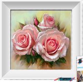 Artstudioclub™  Diamond painting volwassenen 30*30cm  rozen