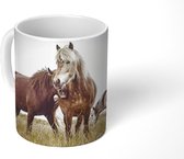 Mok - Koffiemok - Paarden - Gras - Lente - Mokken - 350 ML - Beker - Koffiemokken - Theemok