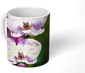Mok - Orchideeën in bloei - 350 ML - Beker