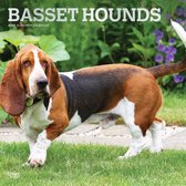 Basset Hound Kalender 2022