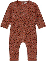 Prénatal baby boxpakje - babykleding voor meisjes - maat 68 - Bruin