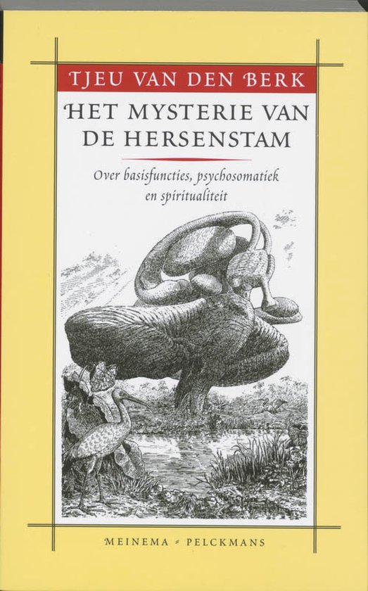Het mysterie van de hersenstam - cover