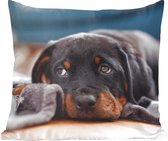 Sierkussen - Schattige Rottweiler Pup Ligt Op De Vloer - Multicolor - 40 Cm X 40 Cm