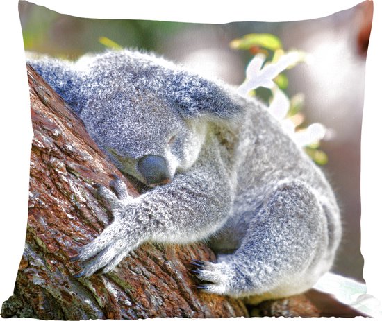 Springkussen Koala Sierkussen - Koala Boom Slapen - Bruin - 50 Cm X 50 Cm | bol
