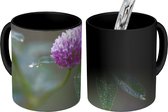 Magische Mok - Foto op Warmte Mok - Klaverbloemknop met vroege dauw - 350 ML