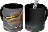 Magische Mok - Foto op Warmte Mokken - Koffiemok - Close-up van een kleurrijke putter - Magic Mok - Beker - 350 ML - Theemok