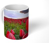 Mok - Rode tulpen en een zonsondergang - 350 ML - Beker