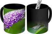 Magische Mok - Foto op Warmte Mok - Een afdruipende vlinderstruik - 350 ML