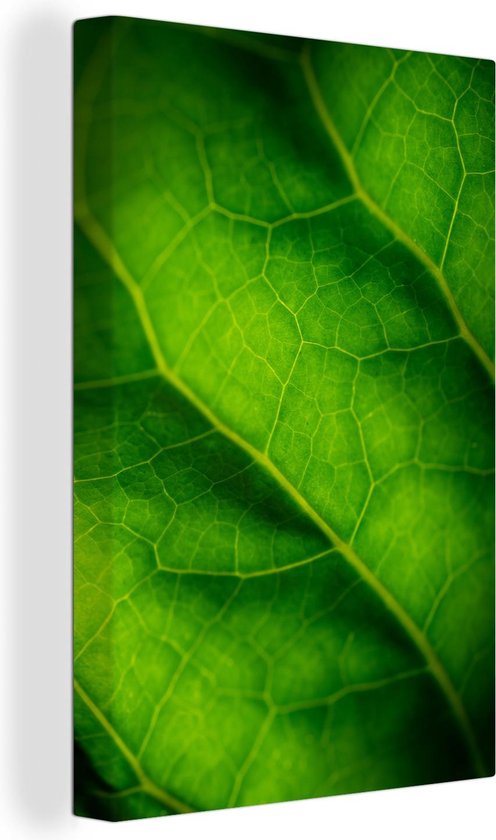 Canvas Schilderij Groene kleuren van een botanisch blad - 80x120 cm - Wanddecoratie