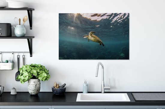 Tortue en eau claire sur toile 80x60 cm - Tirage photo sur toile (Décoration murale salon / chambre) / Peintures sur toile Animaux