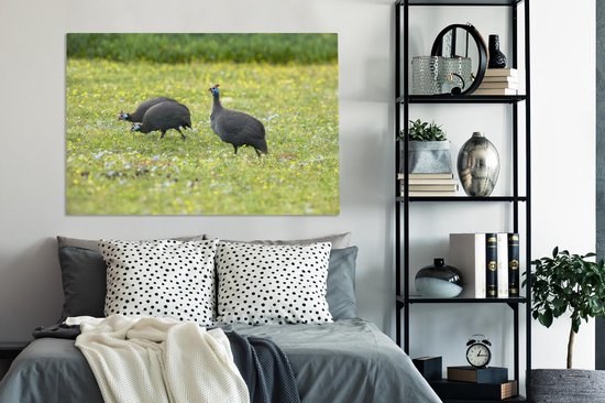 Tableau sur toile Pintade - Vogel - Ressorts - 140x90 cm - Décoration murale