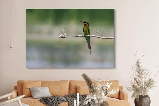 Tableau sur toile Le guêpier nain est assis sur une branche - 150x100 cm - Décoration murale