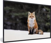 Affiche avec cadre Renard - Neige - Rouge - 30x20 cm