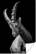 Poster Photo chèvre Zwart& blanc - 20x30 cm