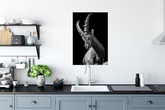 Poster Photo Chèvre Zwart 40x60 cm - Tirage Photo sur Poster (décoration murale salon / chambre) / Poster Animaux