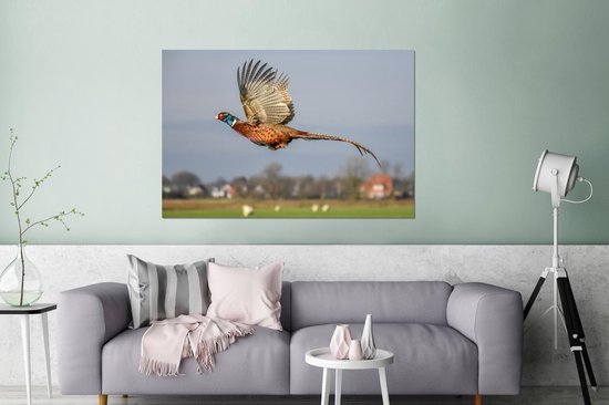 Faisan en vol aux ailes déployées Aluminium 180x120 cm - Tirage photo sur Aluminium (décoration murale métal) XXL / Groot format!