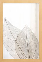 JUNIQE - Poster in houten lijst Skeleton Leaves -40x60 /Ivoor
