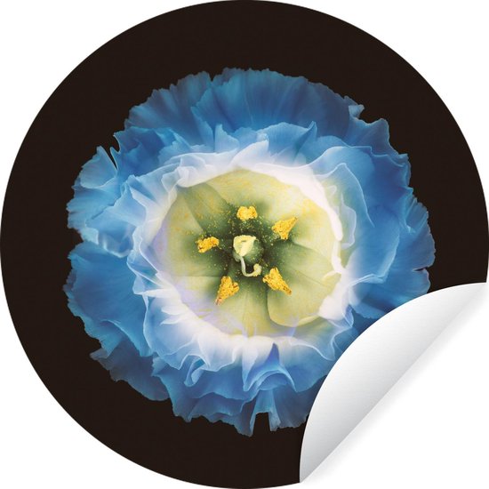 Gros plan d'une fleur bleue sur fond noir Sticker papier peint cercle
